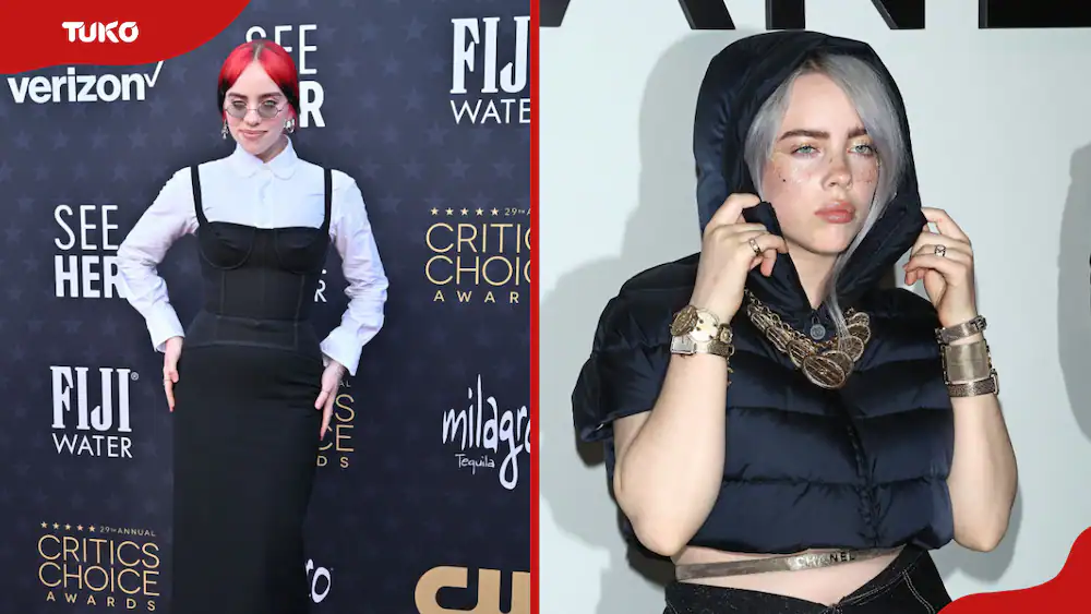 Billie Eilish weight loss story